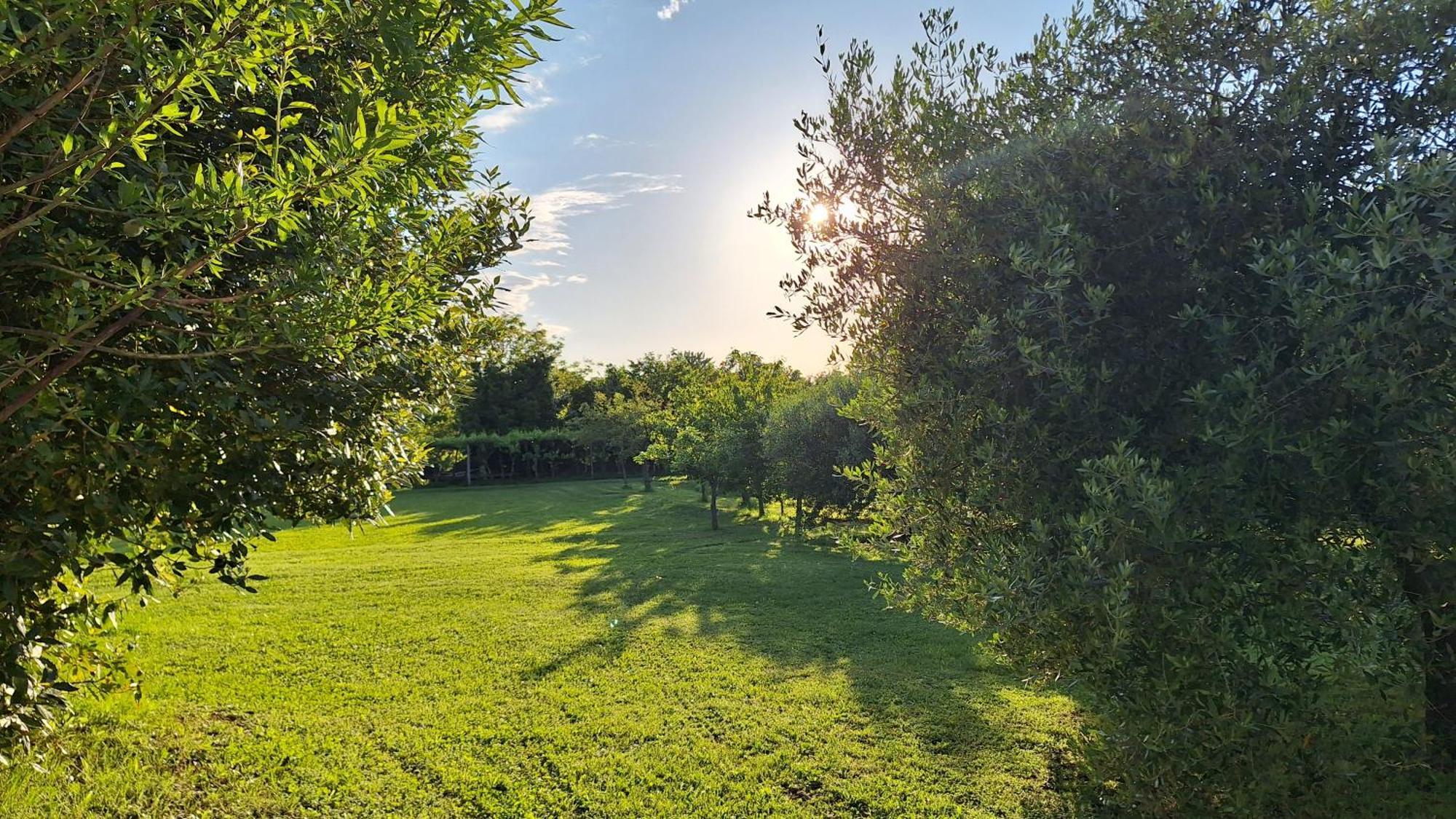Apartman Doli Nedeščina Buitenkant foto